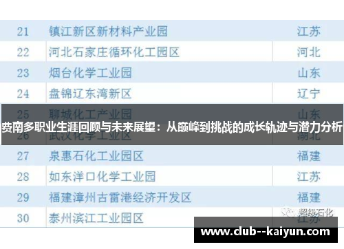 费南多职业生涯回顾与未来展望：从巅峰到挑战的成长轨迹与潜力分析