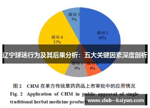 辽宁球迷行为及其后果分析：五大关键因素深度剖析